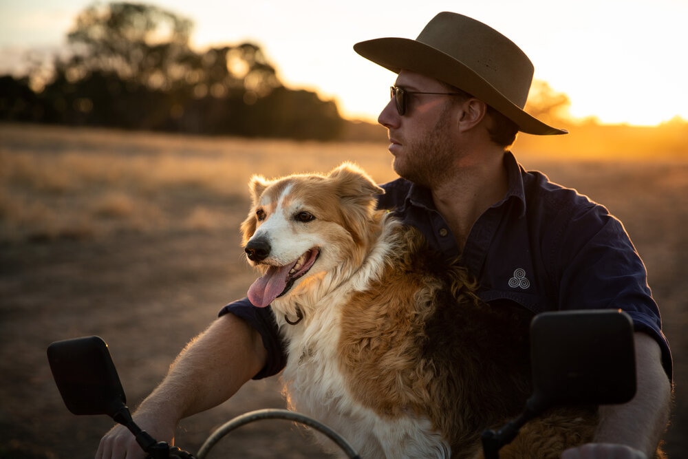 Mann mit Hund auf Motorrad