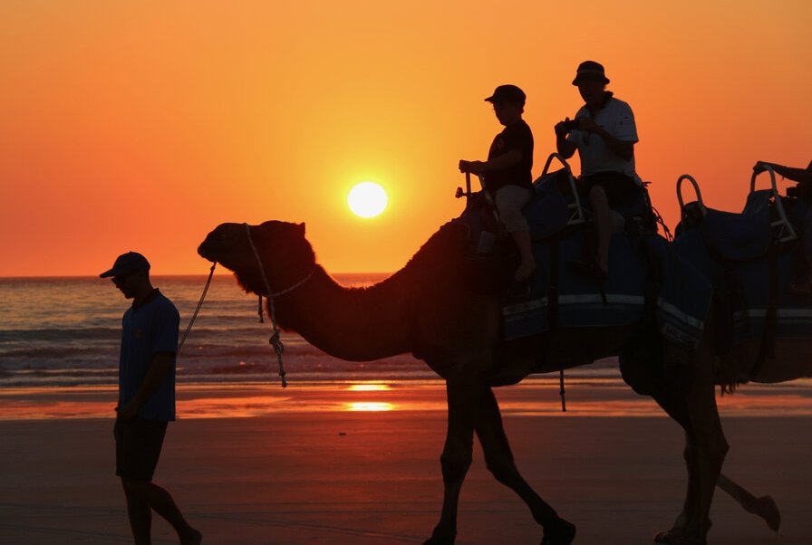 Opa und Enkel auf einem Camel im Sonnenuntergang