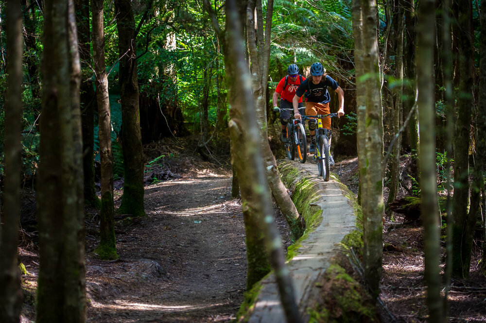 Mountainbiker im Wald auf Tasmanien