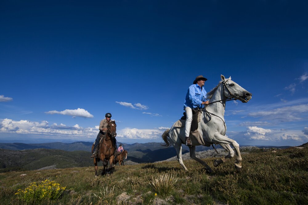 Zwei Reiter gallopieren auf ihren Pferden über Felder