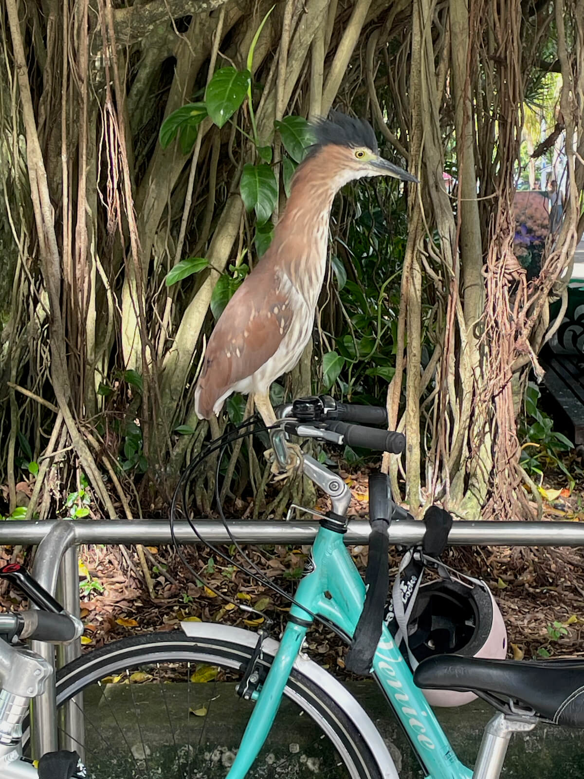 The Wunsch family<br><i class="fa fa-star" aria-hidden="true"></i><i class="fa fa-star" aria-hidden="true"></i><i class="fa fa-star" aria-hidden="true"></i><i class="fa fa-star" aria-hidden="true"></i><i class="fa fa-star" aria-hidden="true"></i>