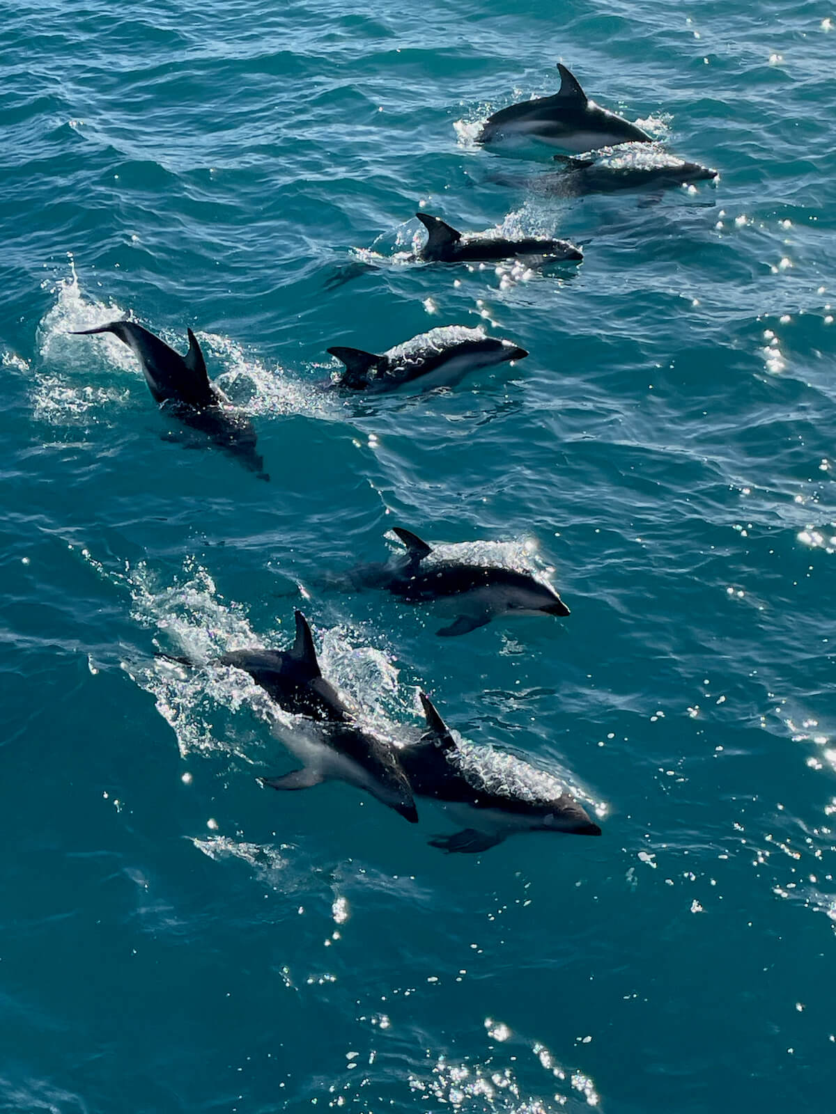 Karin<br><i class="fa fa-star" aria-hidden="true"></i><i class="fa fa-star" aria-hidden="true"></i><i class="fa fa-star" aria-hidden="true"></i><i class="fa fa-star" aria-hidden="true"></i><i class="fa fa-star" aria-hidden="true"></i>