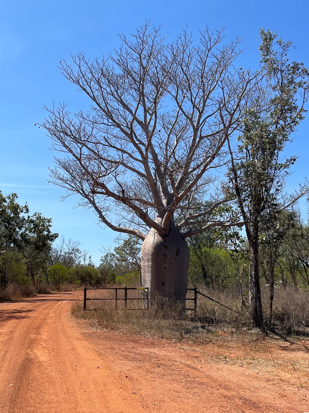 Pascal<br><i class="fa fa-star" aria-hidden="true"></i><i class="fa fa-star" aria-hidden="true"></i><i class="fa fa-star" aria-hidden="true"></i><i class="fa fa-star" aria-hidden="true"></i><i class="fa fa-star" aria-hidden="true"></i>